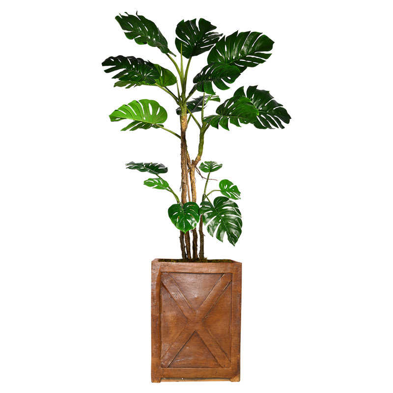 Bayou Breeze Monstera Artificial Home Decor Floor Foliage Tree In