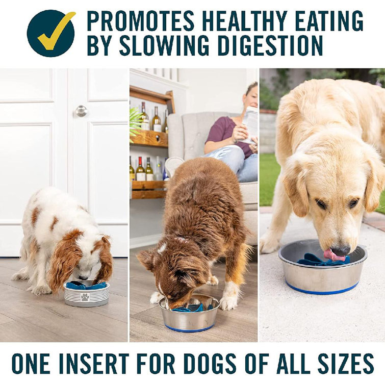 slow feeder insert for dogs
