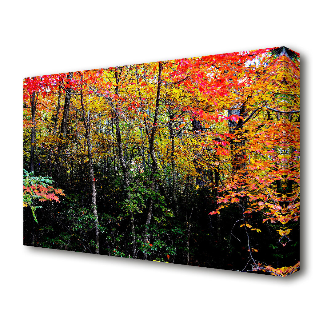 East Urban Home Stunning Colourful Autumn Forest Forest Canvas Print Wall Art Wayfair Co Uk