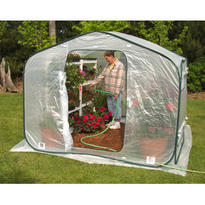 Dreamhouse 8 Ft. W x 8 Ft. D Greenhouse