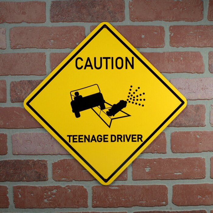Funny Caution Teenage Driver Metal Sign Car Prank Novelty Bedroom Door Wall Decor