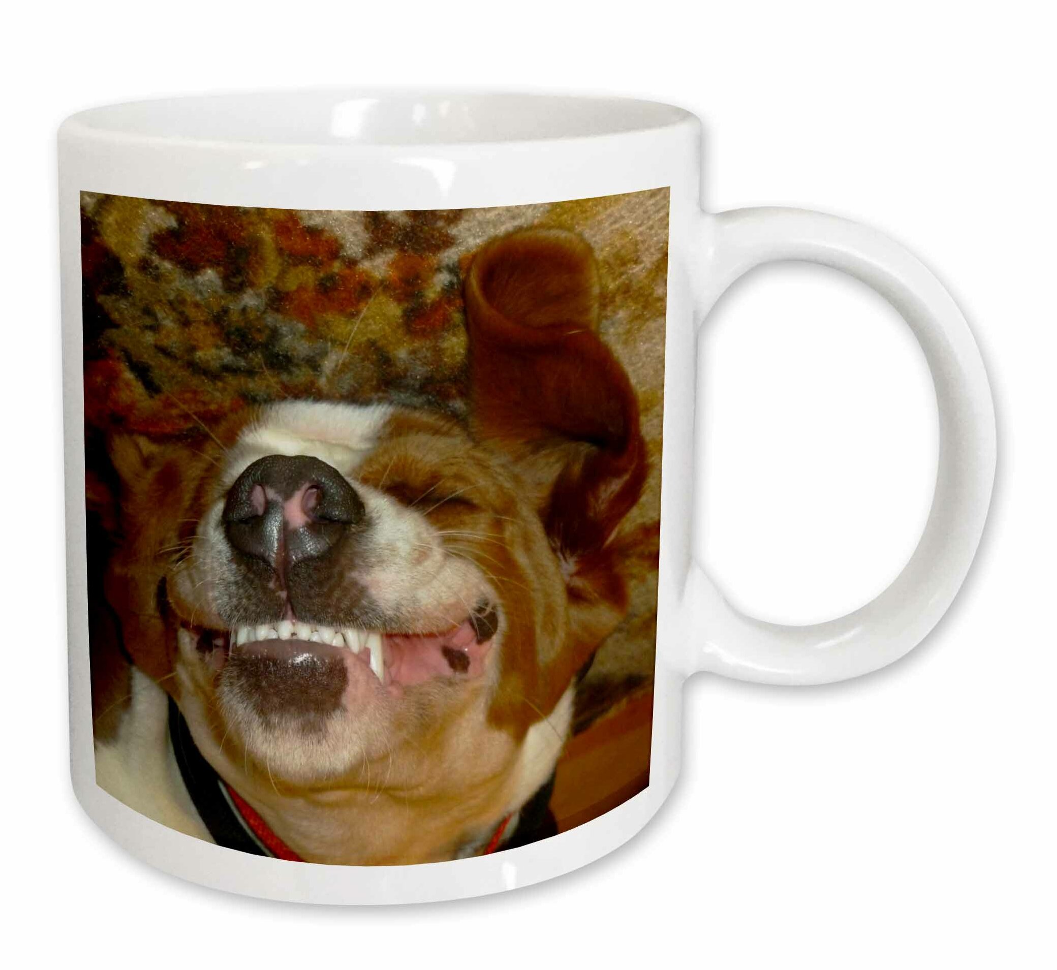 basset hound smiling