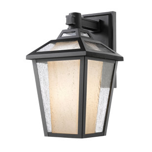 Go to store & view more images Crandell 1-Light Outdoor Wall Lantern by Williston Forge