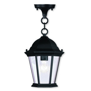 Best Busse 1-Light Outdoor Hanging Lantern By Darby Home Co Ceiling Lights Busse 1-Light Outdoor Hanging Lantern By Darby Home Co Ceiling Lights