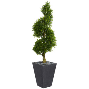 Front Porch Boxwood Topiary Wayfair Spiral Artificial Floor Boxwood Topiary In Planter