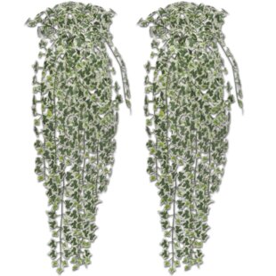Artificial Ivy Set (Set Of 2) By The Seasonal Aisle