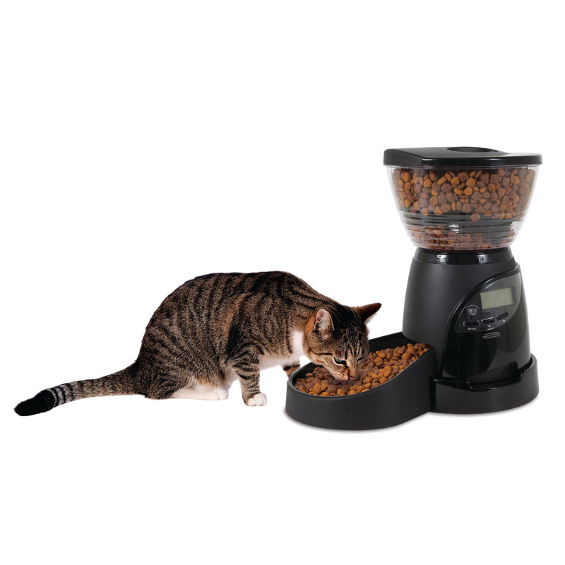Aspen Pet Lebistro Programmable Automatic Feeder Reviews Wayfair