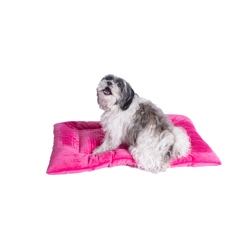 pink dog mat