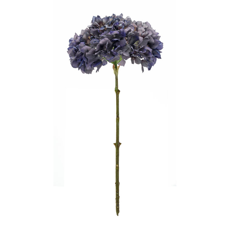 Primrue Hydrangea Steam | Wayfair