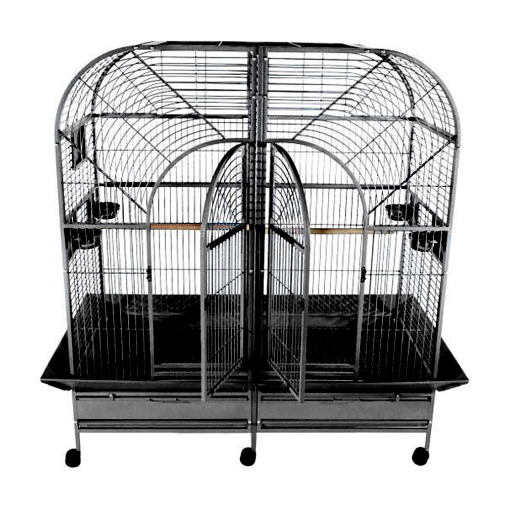 double bird cage