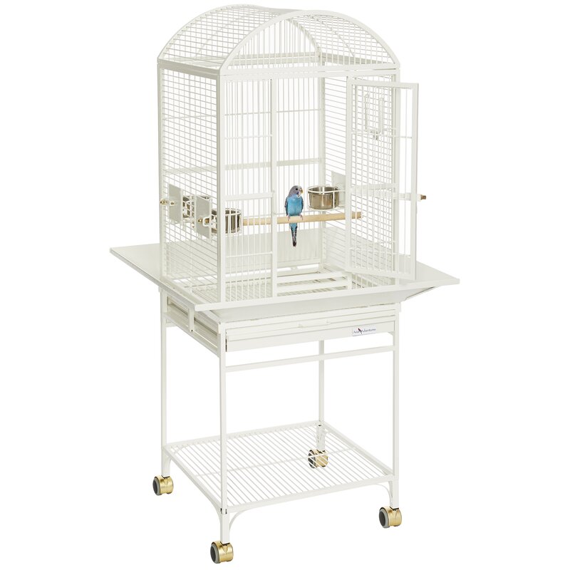 avian adventures bird cages