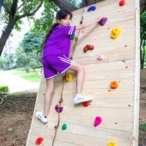 Kids Climbing Rocks for Indoor Outdoor Play Set SEKKVY 20 Rock Wall Climbing Holds Set with 2Pcs Safety Handles Rock Wall Hand Holds Kit with 2 Inch Mounting Hardware
