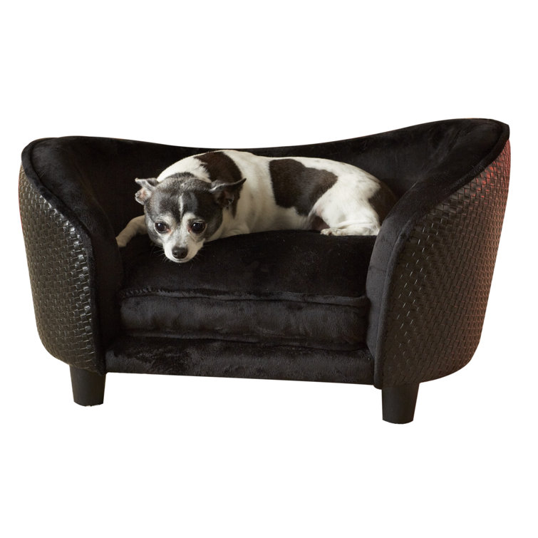 constantine dog sofa