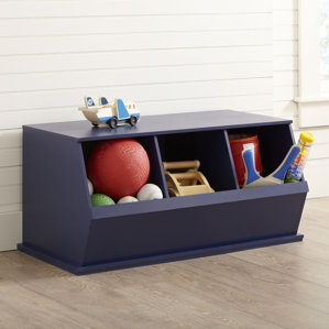 Kids Vanities Bookcases Birch Lane Go To Storage Cubby