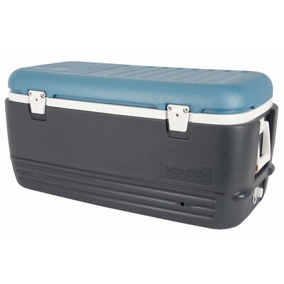 Coolers You'll Love in 2019 | Wayfair