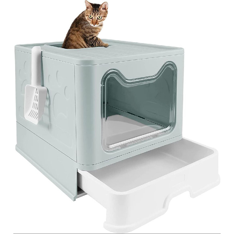 standard litter box