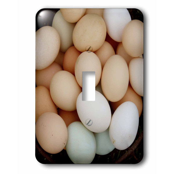 3drose Switch Chicken Eggs By Angelandspot 1 Gang Toggle Light Switch Wall Plate Wayfair