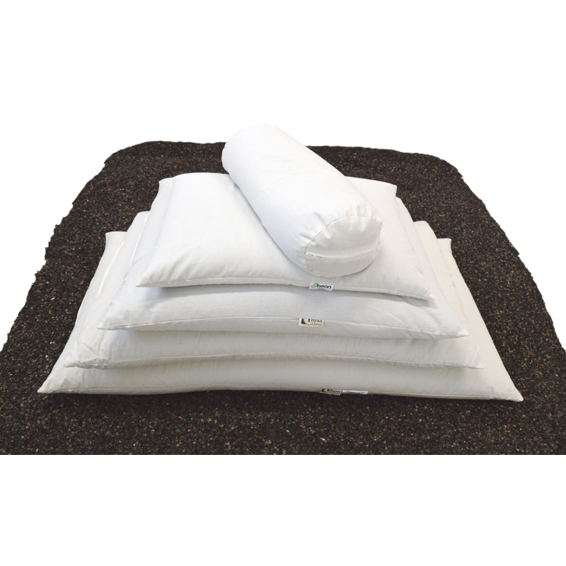 Alwyn Home Ginsburg Buckwheat Pillow Reviews Wayfair