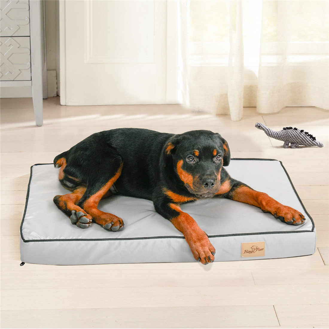 BingoPaw Pet Bed Pillow Wayfair