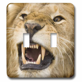 3drose Beach On South Africa 2 Gang Toggle Light Switch Wall Plate Wayfair