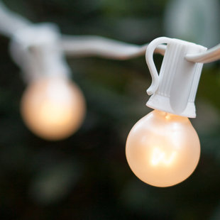 Best 50-Light Globe String Lights By Wintergreen Lighting Outdoor Lighting 50-Light Globe String Lights By Wintergreen Lighting Outdoor Lighting