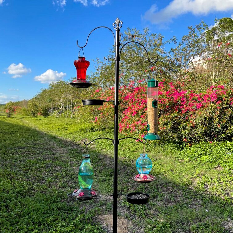 wild bird dining station