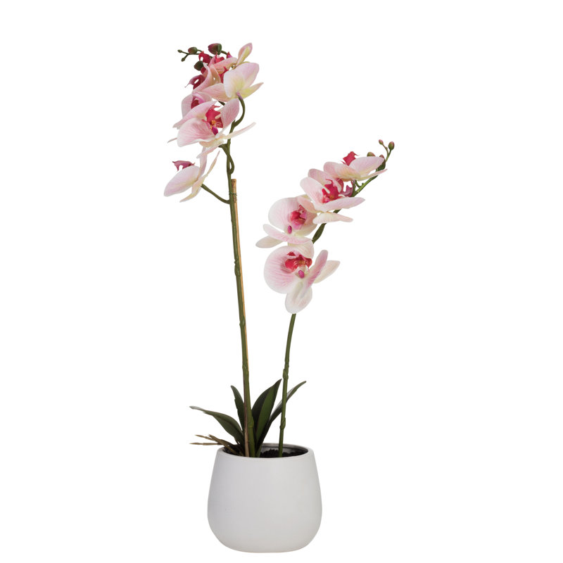 The Seasonal Aisle Artificial Orchid Floral Arrangement In Pot Reviews Wayfair Co Uk