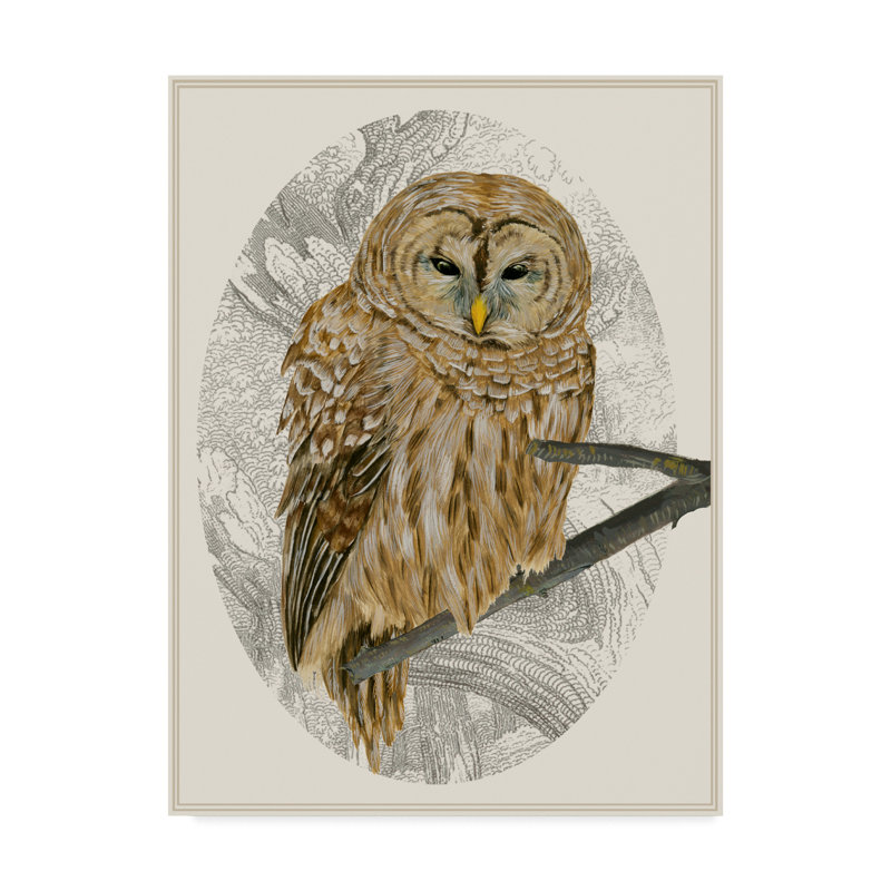 Millwood Pines Barred Owl I Acrylic Painting Print On Wrapped