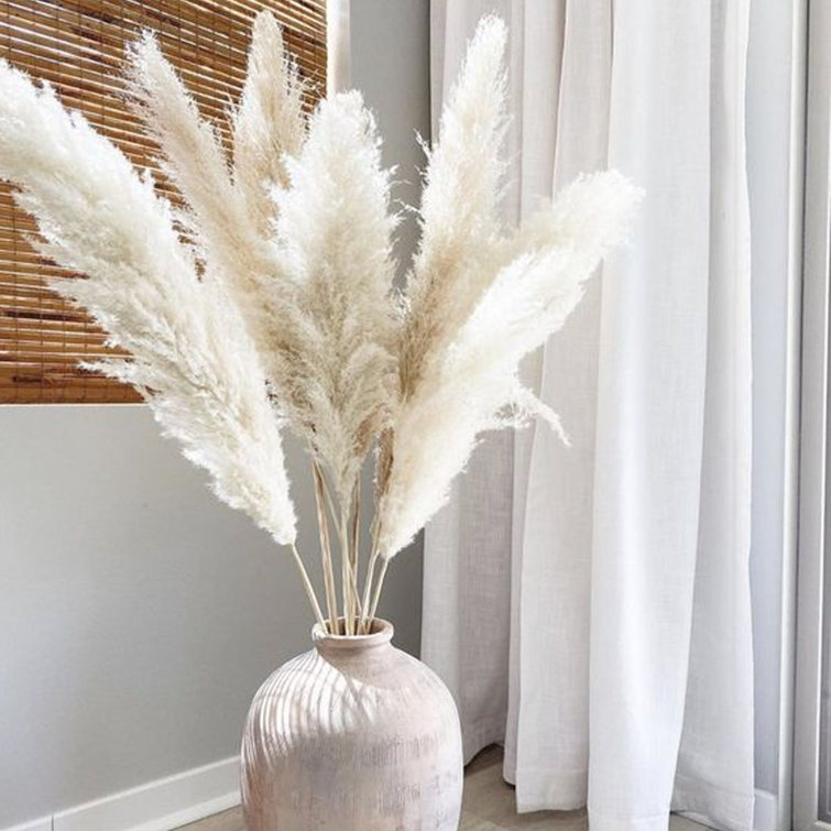 Natural Dried Pampas Grass
