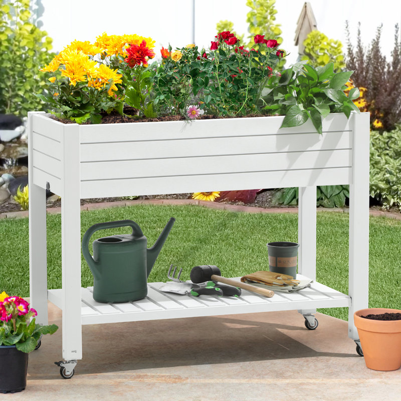 Alphonsa 43.3''W x 34.1''H ft Resin Raised Garden Bed Color: White