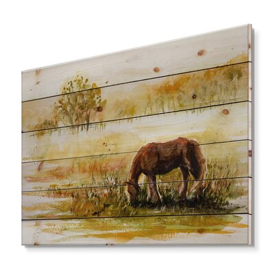 Horse Grazing On A Meadow - Farmhouse Print On Natural Pine Wood East Urban Home