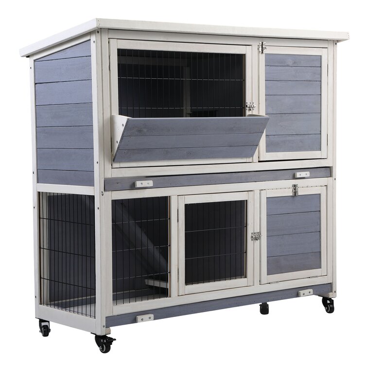 rabbit hutch blue