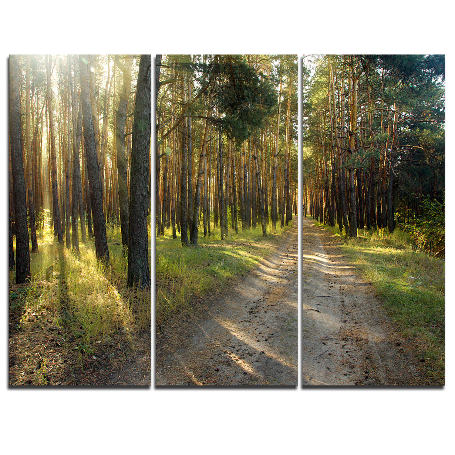 Designart Road Through Green Pine Forest 3 Piece Graphic Art On Wrapped Canvas Set Wayfair
