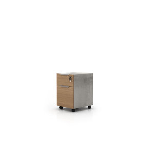 Raylee 2 Drawer Vertical Filing Cabinet by