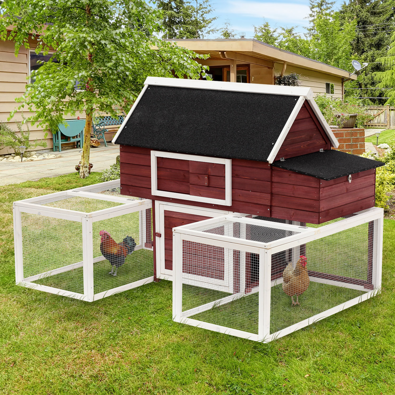 Tucker Murphy Pet Garnett Modular Wooden Backyard Chicken Coop With Nesting Box And Dual Outdoor Runs Reviews