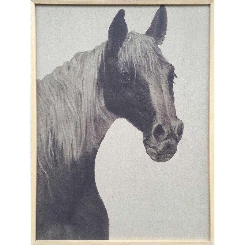 Union Rustic Indian Horse Ii Oil Painting Print On Wrapped Canvas Wayfair