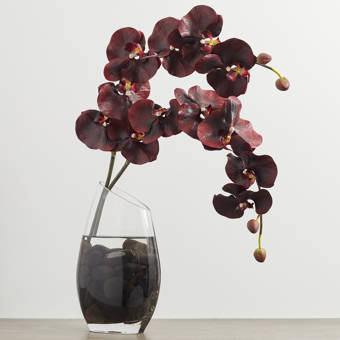 Bayou Breeze Large Real Touch Orchid Floral Arrangement In Glass