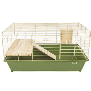 divided guinea pig cage