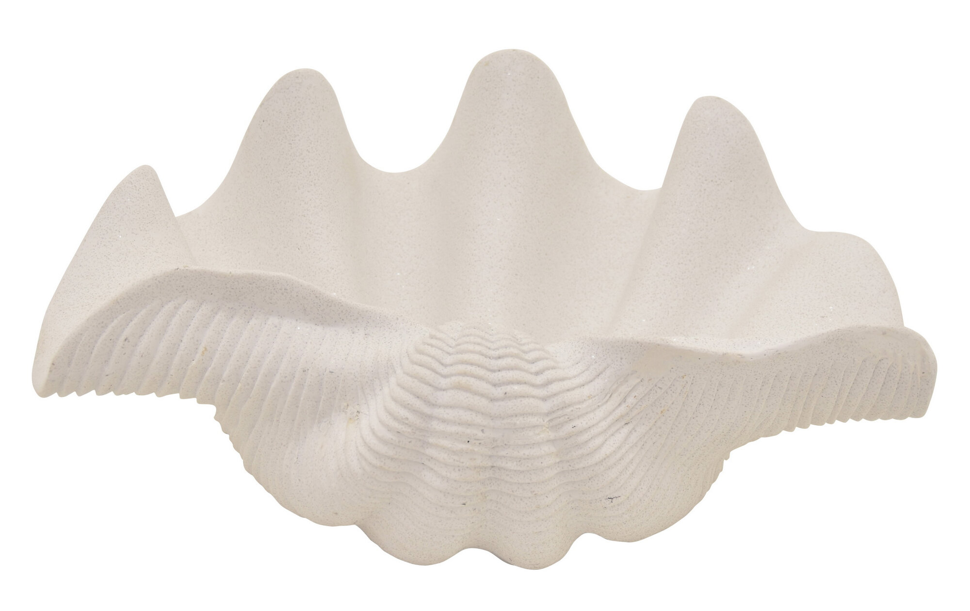 Highland Dunes Vanhouten Clam Shell Decorative Bowl Wayfair