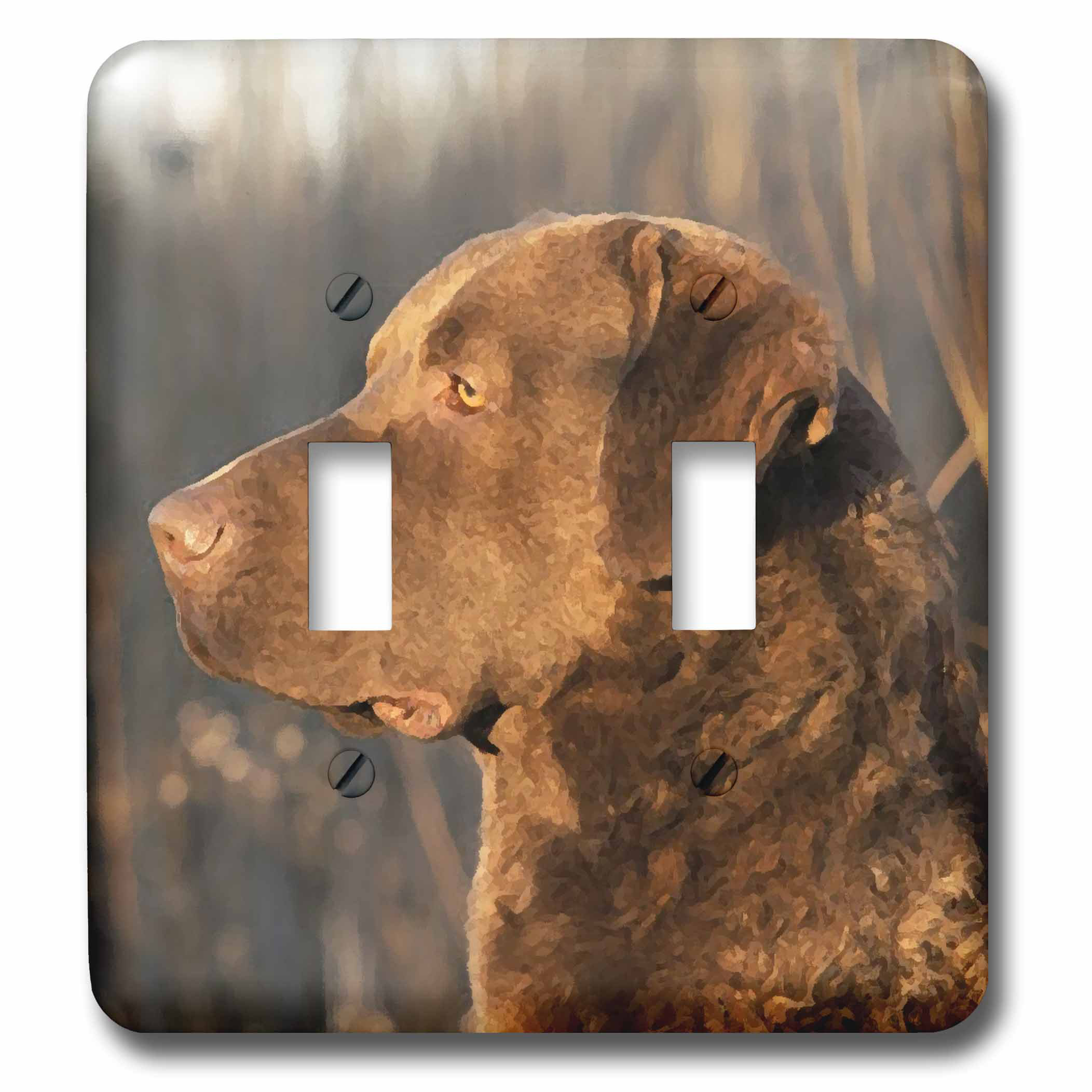 3drose Chesapeake Bay Retriver Portrait 2 Gang Toggle Light Switch Wall Plate Wayfair