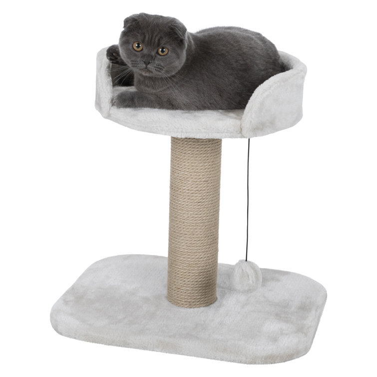 cat platform bed