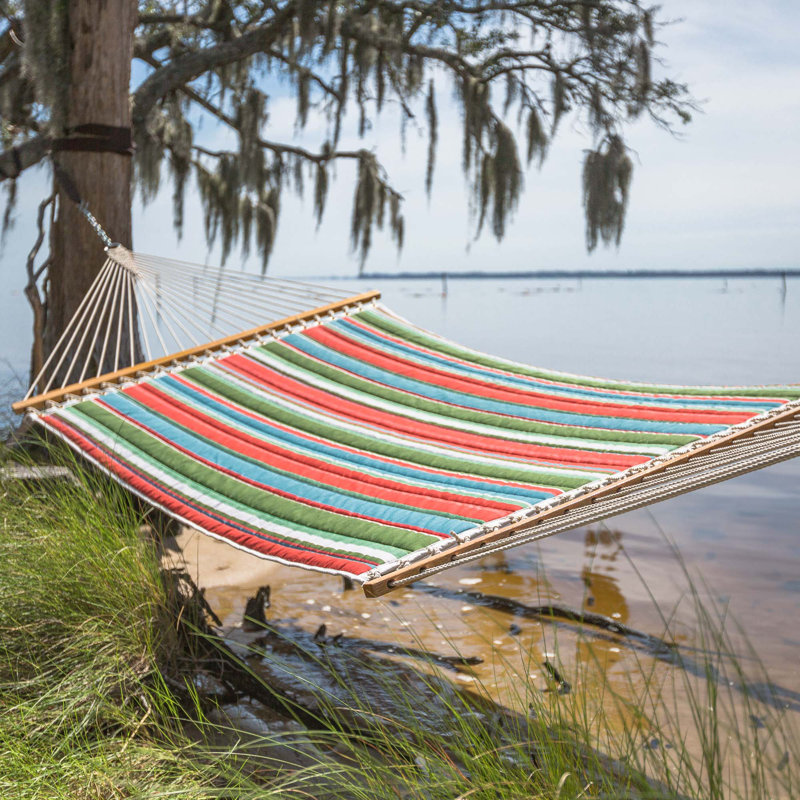 Freeport Park Lizeth Double Tree Hammock Reviews Wayfair