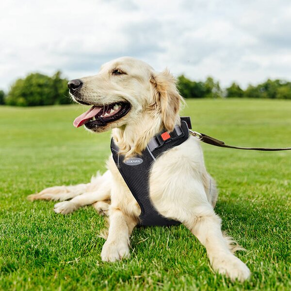 No-Choke Dog Harness Plus 4 ft Reflective Dog Leash with Padded Handle Mesh Dog Harness Puppy Leash Harness Comfortable Dog Harness AIR Dog Harness Leash Set 