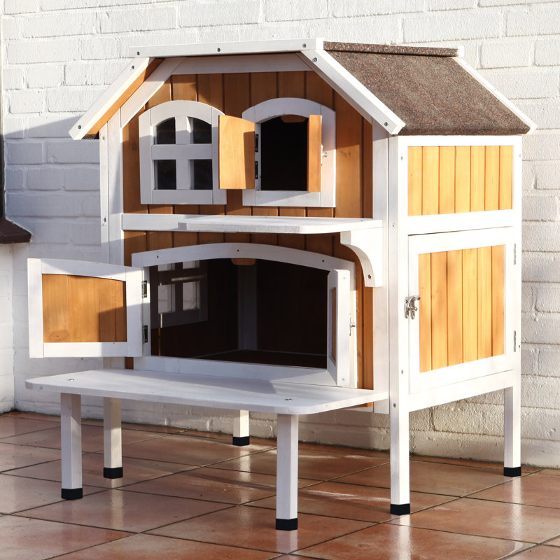 outdoor cat home
