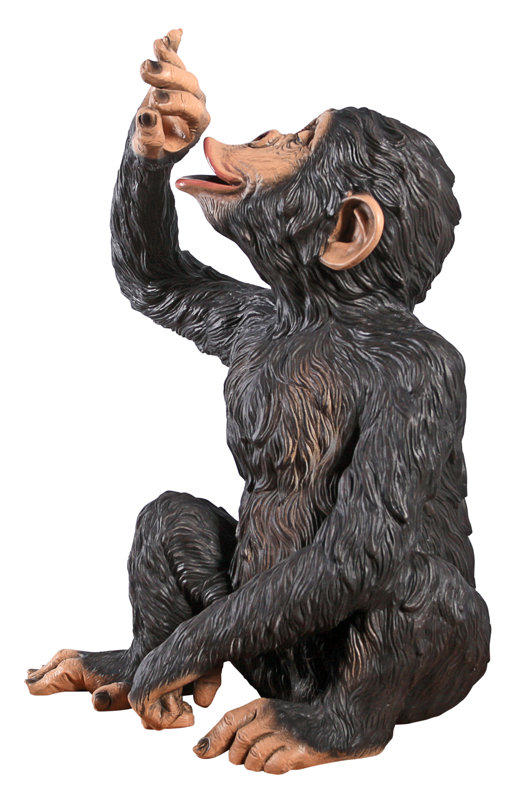 Design Toscano Anisetta Liqueur Drinking Monkey Statue & Reviews Wayfair