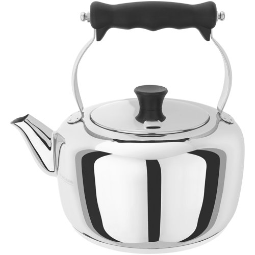 Traditional Stainless Steel Stovetop Kettle Stellar