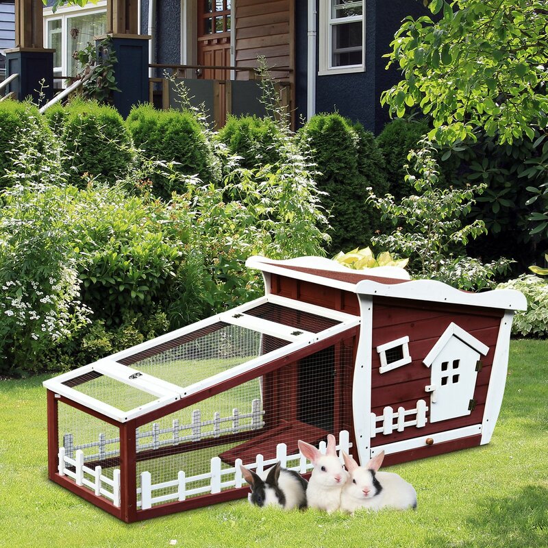 Tucker Murphy Pet Quade Wood Backyard Rabbit Hutch with Ramp | Wayfair.ca