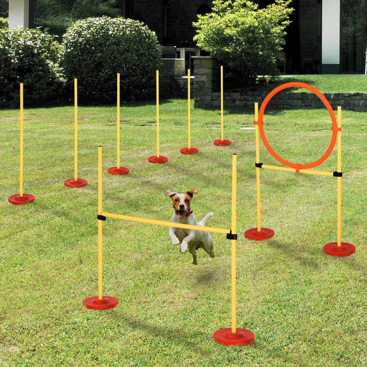 Pawhut 3pcs Portable Pet Agility Training Obstacle Set For Dogs W Adjule Weave Pole Jumping Ring High Jump Reviews Wayfair Canada