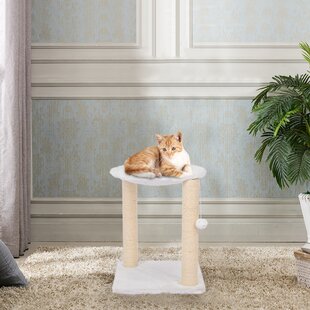 72 Inch Cat Tree Wayfair