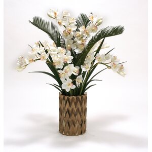 Cymbidium Orchids and Cycas Palm and Orchid Foliage in Zig Zag Vase